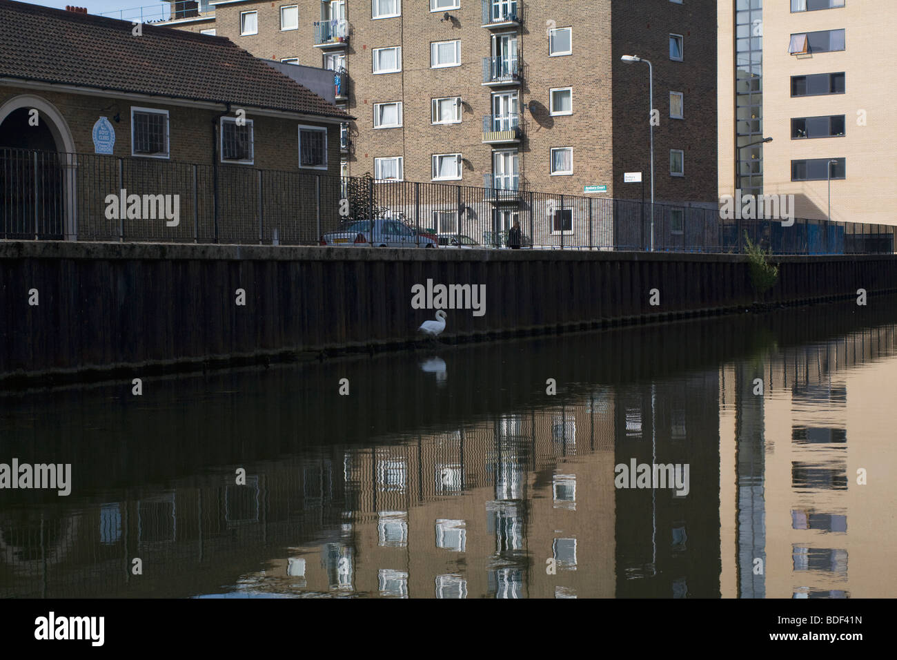 Housing Estate, a swan, Regents Canal, London. UK Stock Photo Alamy