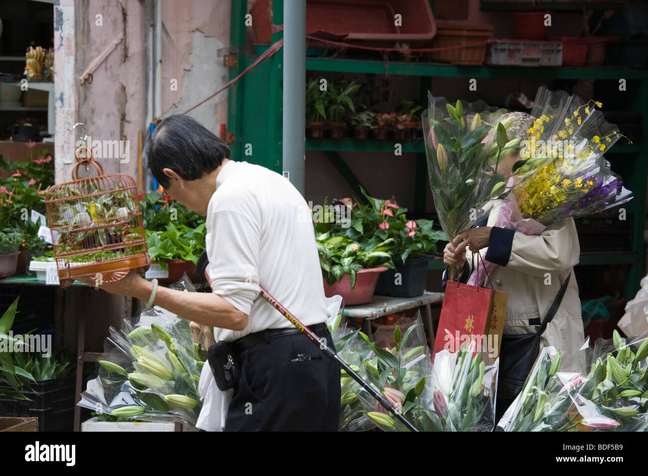 Flower Market, Kowloon, Hong Kong, China Stock Photo Alamy