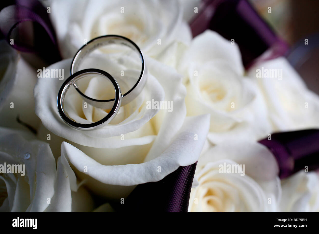 Picture By Mark Passmore 21 08 2009 A Generic Image Of Wedding Rings Placed Upon White Roses Stock Photo Alamy