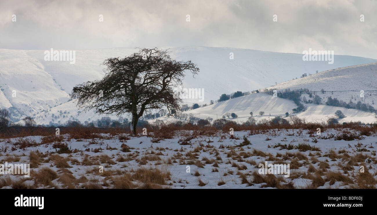 Pen y Fan & Corn Du mountains from Mynydd Illtyd Common Brecon Beacons