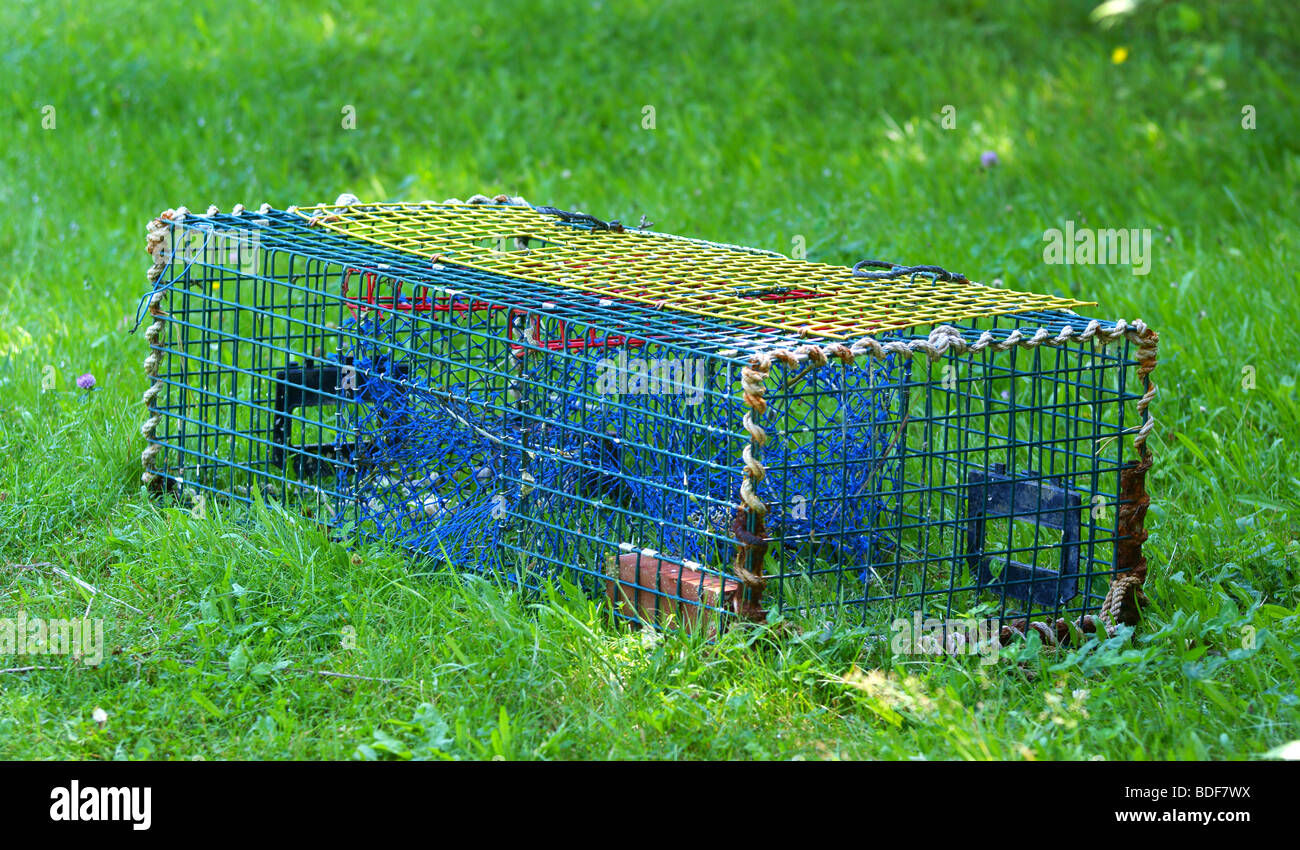 Lobster trap hires stock photography and images Alamy
