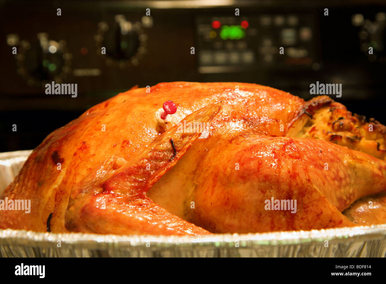 Roast Chickenturkey Roasting Pan Meat Thermometer Stock Vector (Royalty  Free) 490058992