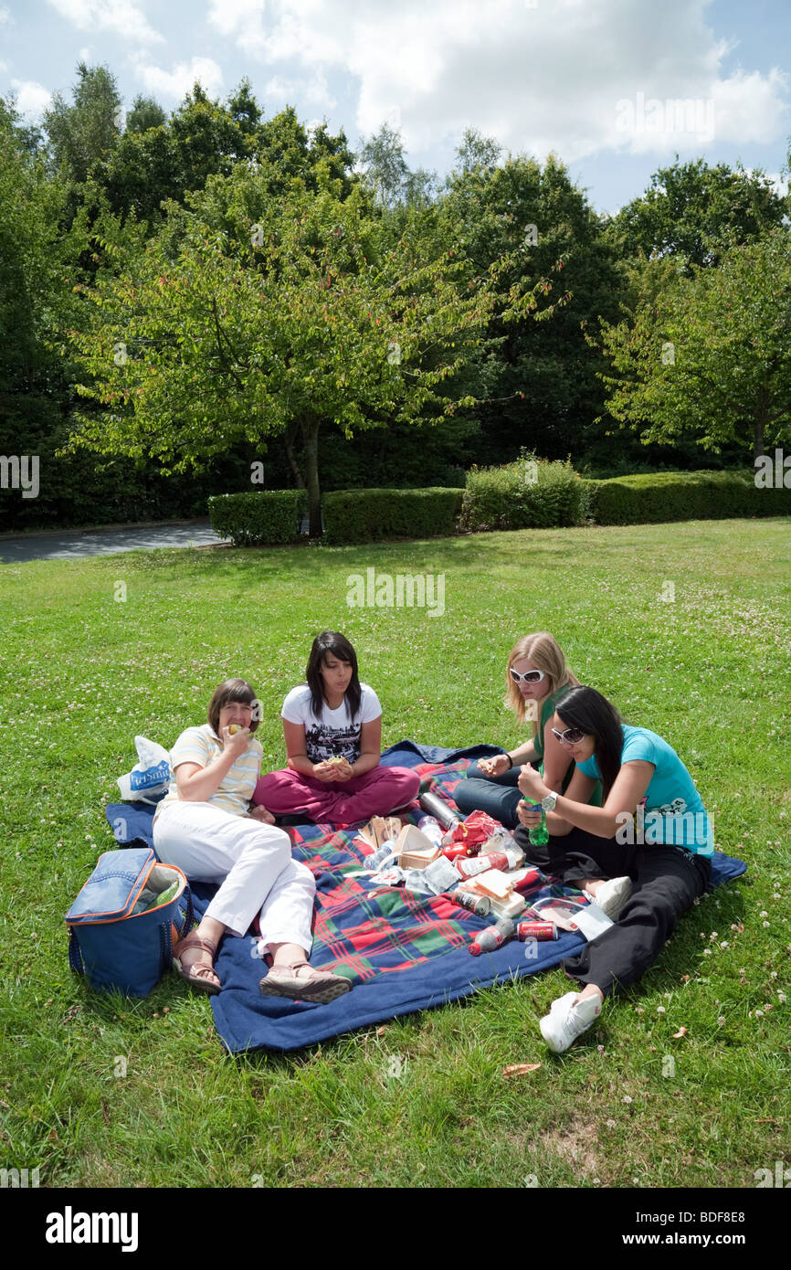 A family having a picnic on the grass in a rest place on a French autoroute, France Stock Photo