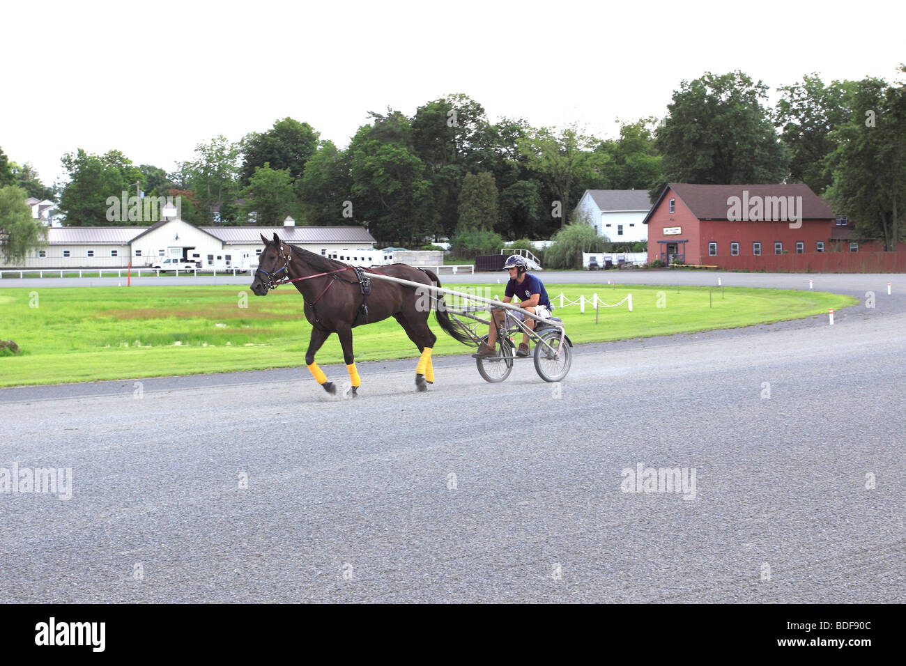 Harness racing horse being trained, Historic Track, Goshen, NY Stock Photo