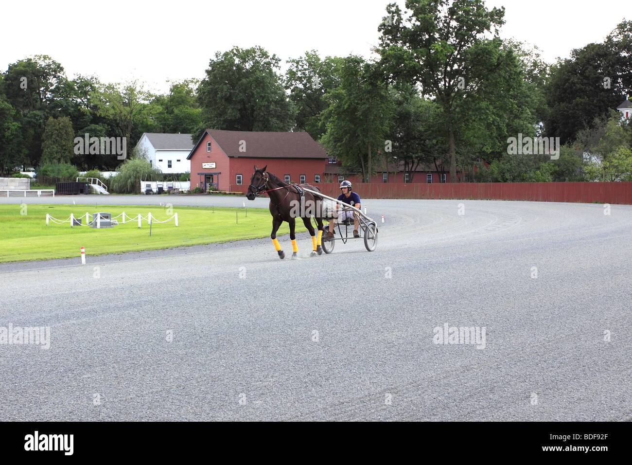 Harness racing horse being trained, Historic Track, Goshen, NY Stock Photo