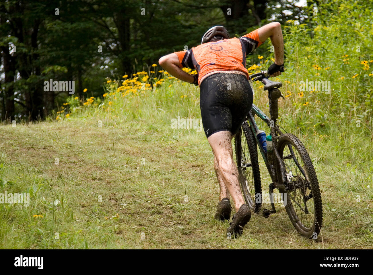 mountain bike for triathlon