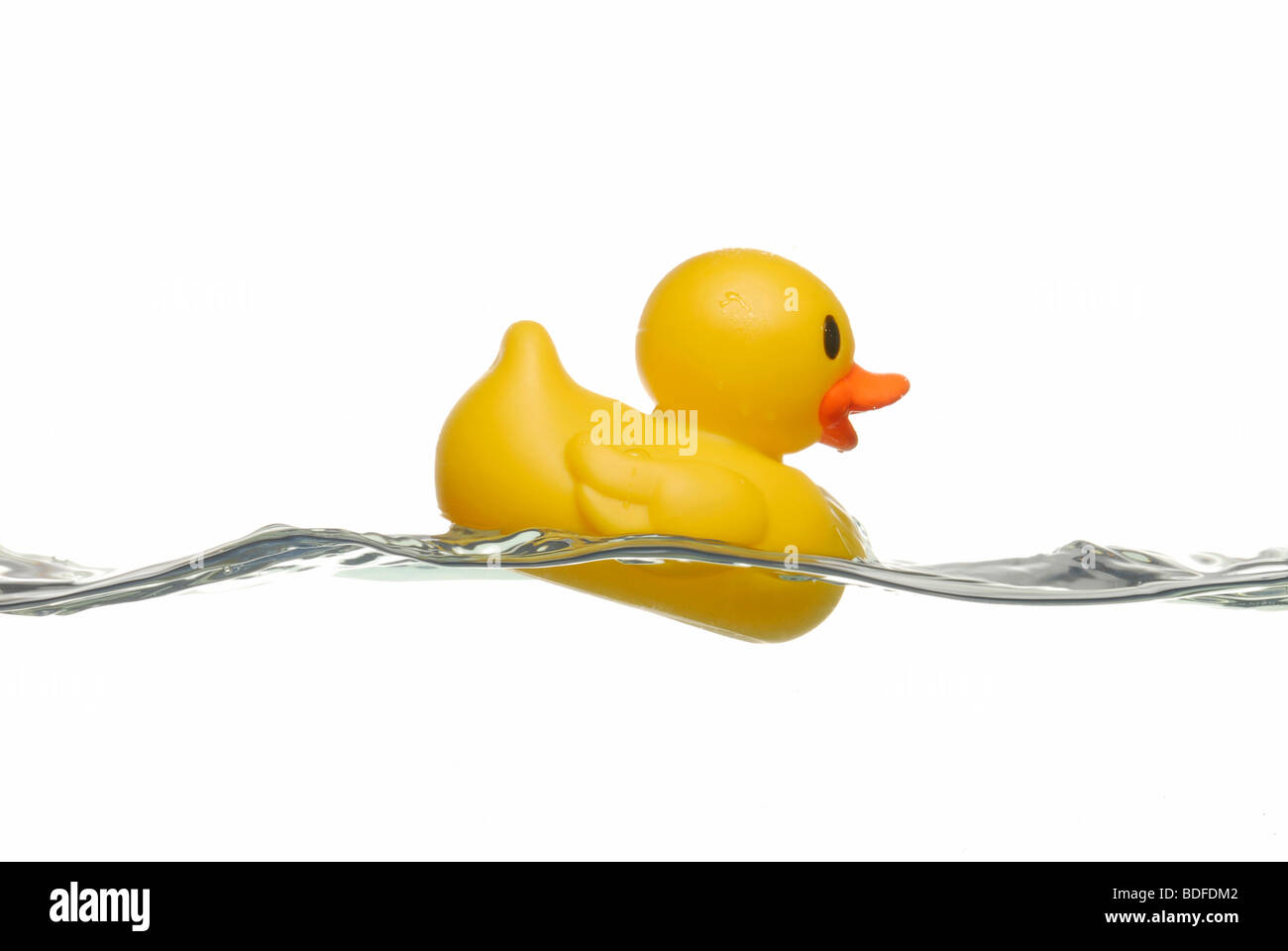 Duck in rough waves, symbolic picture for hard times Stock Photo