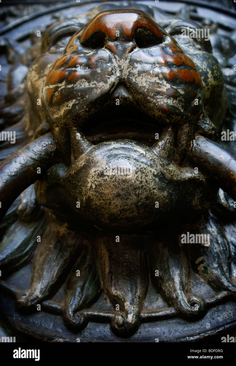 Köln - Kölner Dom / Cologne Gothic Cathedral in Germany. Close-up of lion head door / portal knocker. Stock Photo