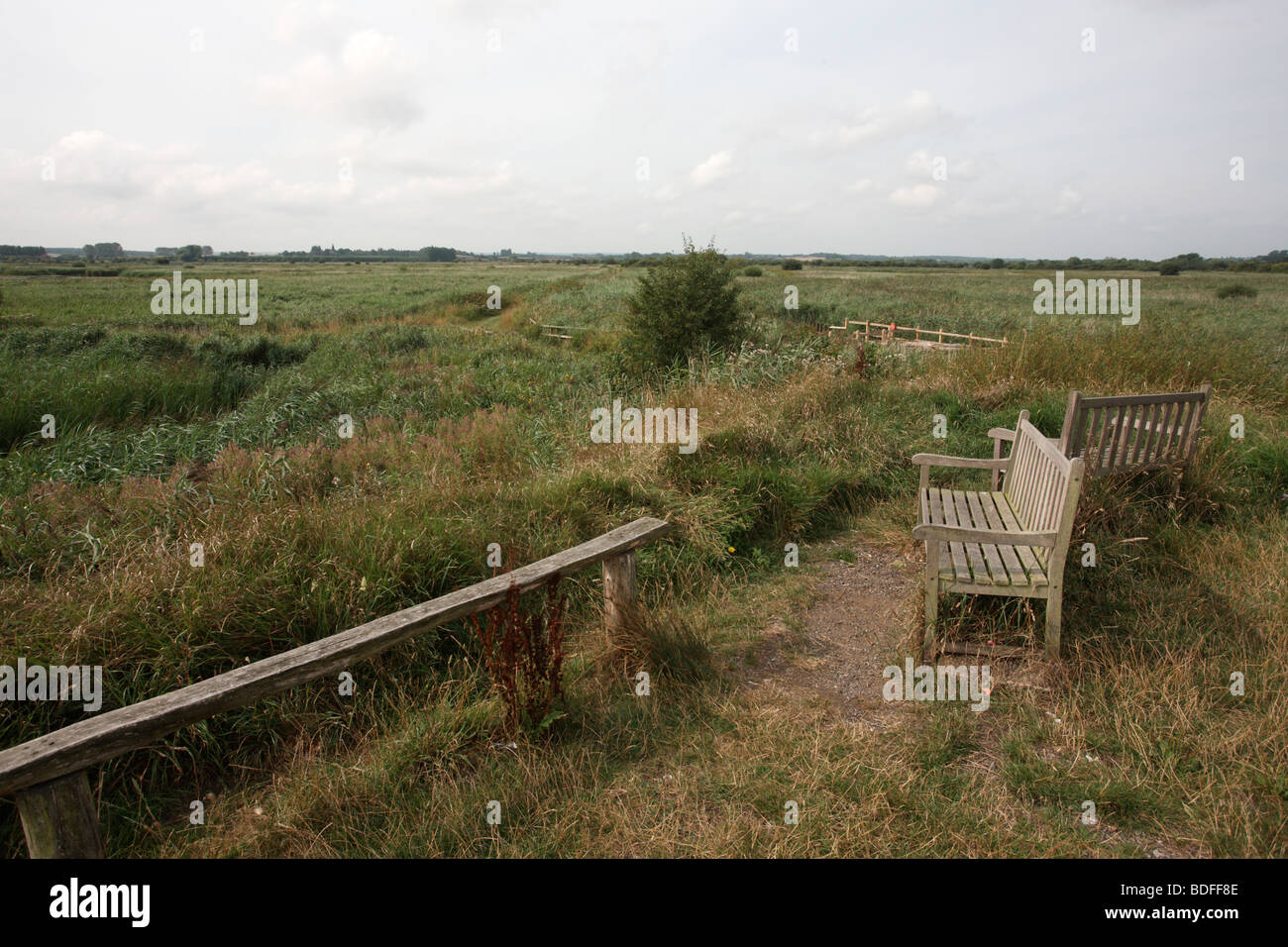 Stodmarsh national nature reserve, by Grove Ferry, Kent, August 2009 Stock Photo