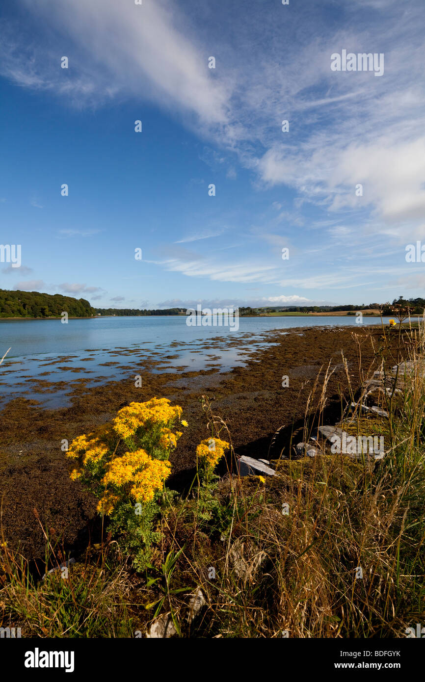 Strangford Lough, Northern Ireland, UK Stock Photo - Alamy