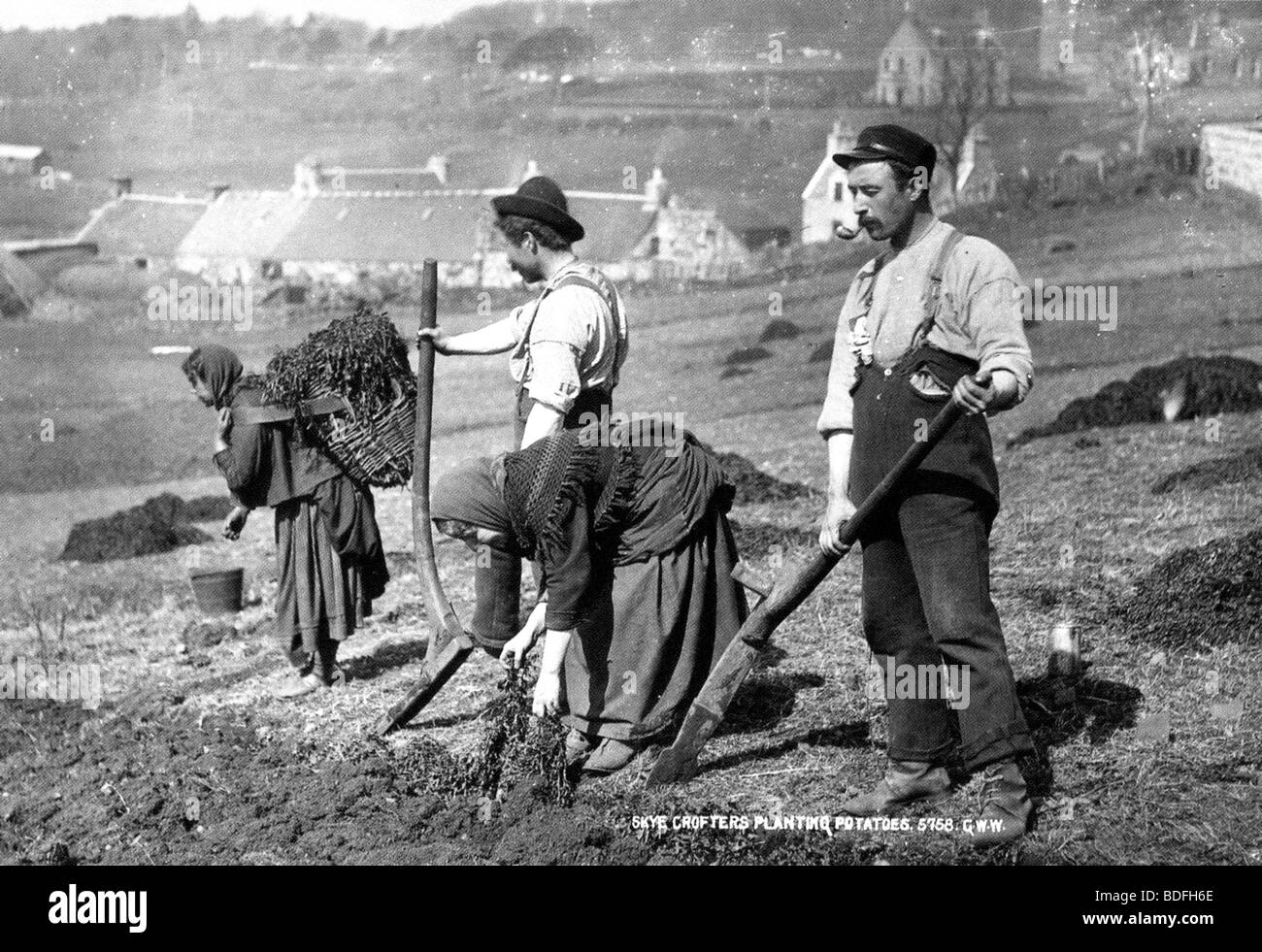 SKYE CROFTERS planting potatoes using the cashrom foot plough about 1910 Stock Photo