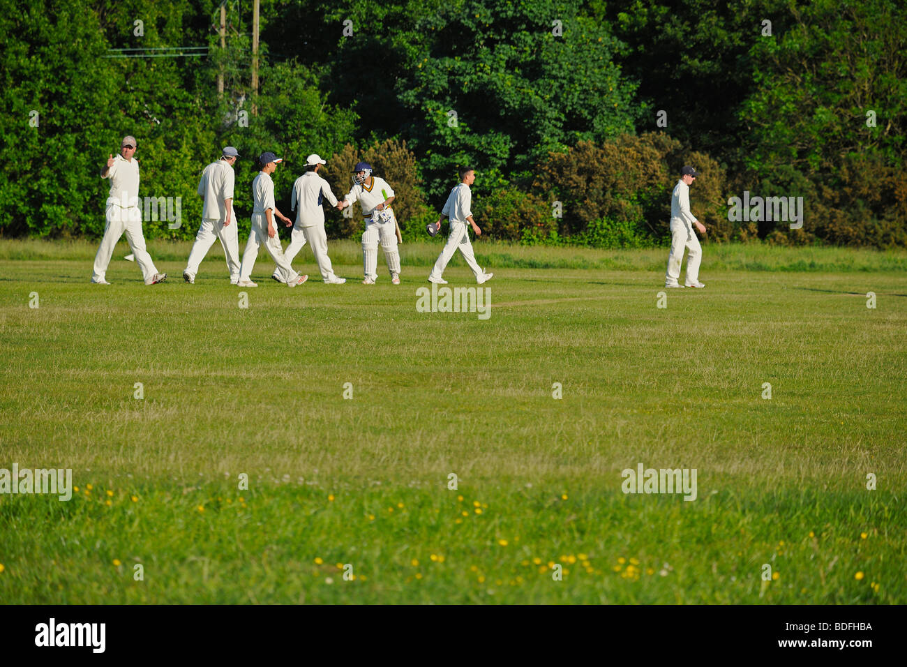 How many fielders in a cricket match
