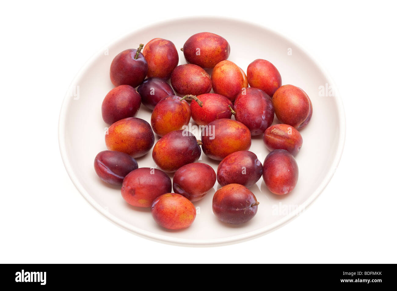 white hooded beach cover up