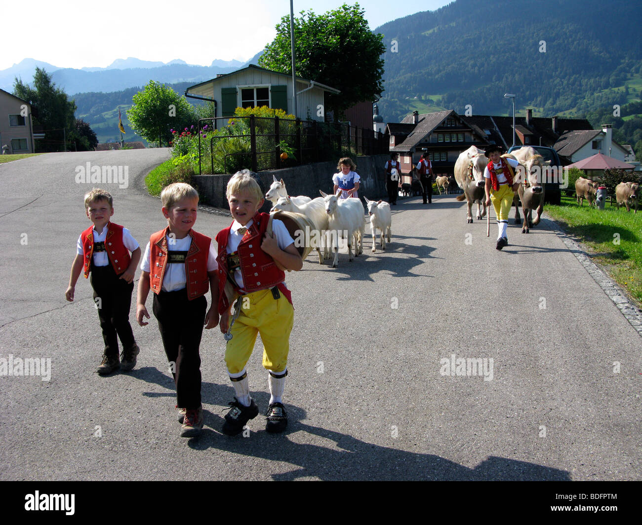 Toggenburg Switzerland Alpaufzug cattle tradition swiss farmers Stock Photo