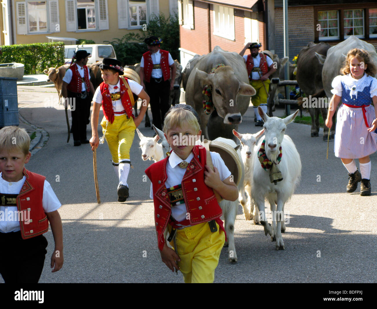 Toggenburg Switzerland Alpaufzug cattle tradition swiss farmers Stock Photo