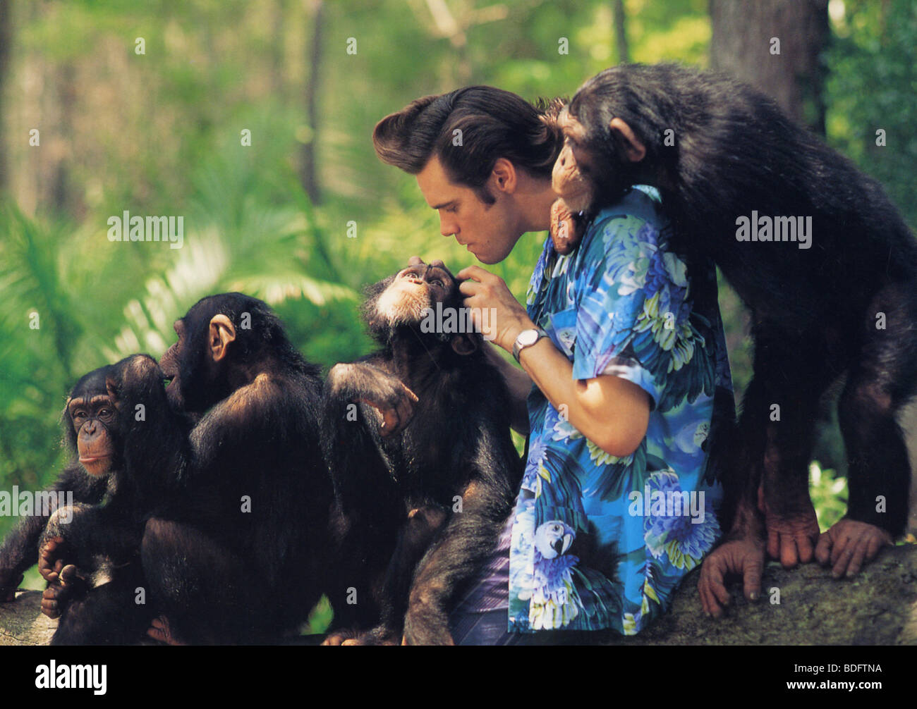 ACE VENTURE - WHEN NATURE CALLS  - 1995 Warner film with Jim Carrey Stock Photo