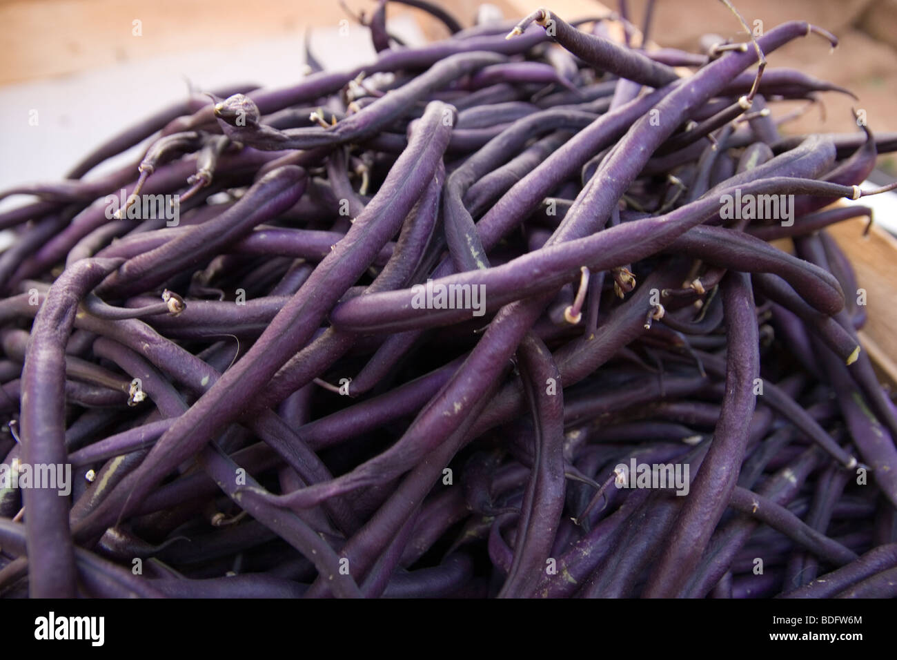 Purple beans in a small heap, Cahors market Stock Photo