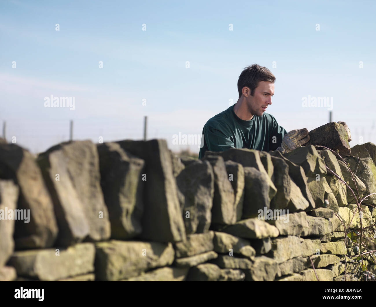 Man Inspecting Dry Stone Wall Stock Photo
