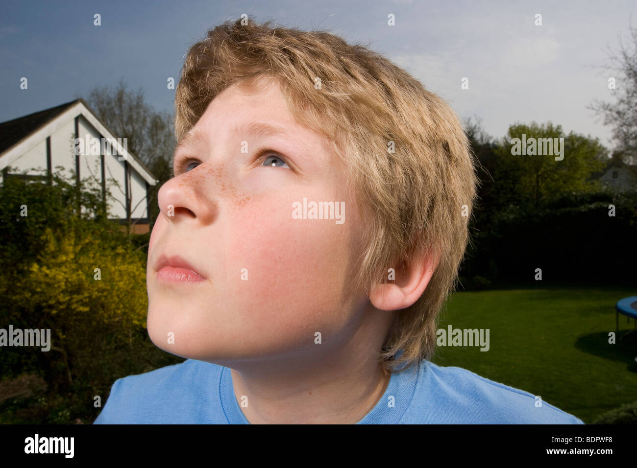 Boy looking up Stock Photo Alamy