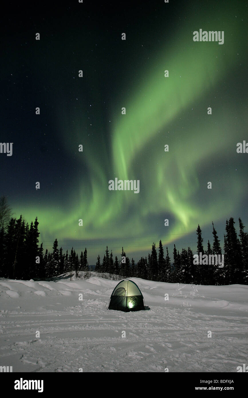 Northern lights and tent Fairbanks, Alaska Stock Photo Alamy
