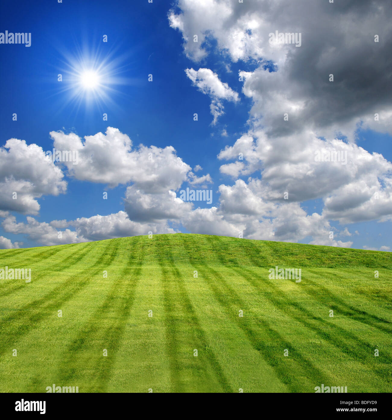 Sunlight through natural green hi-res stock photography and images - Alamy