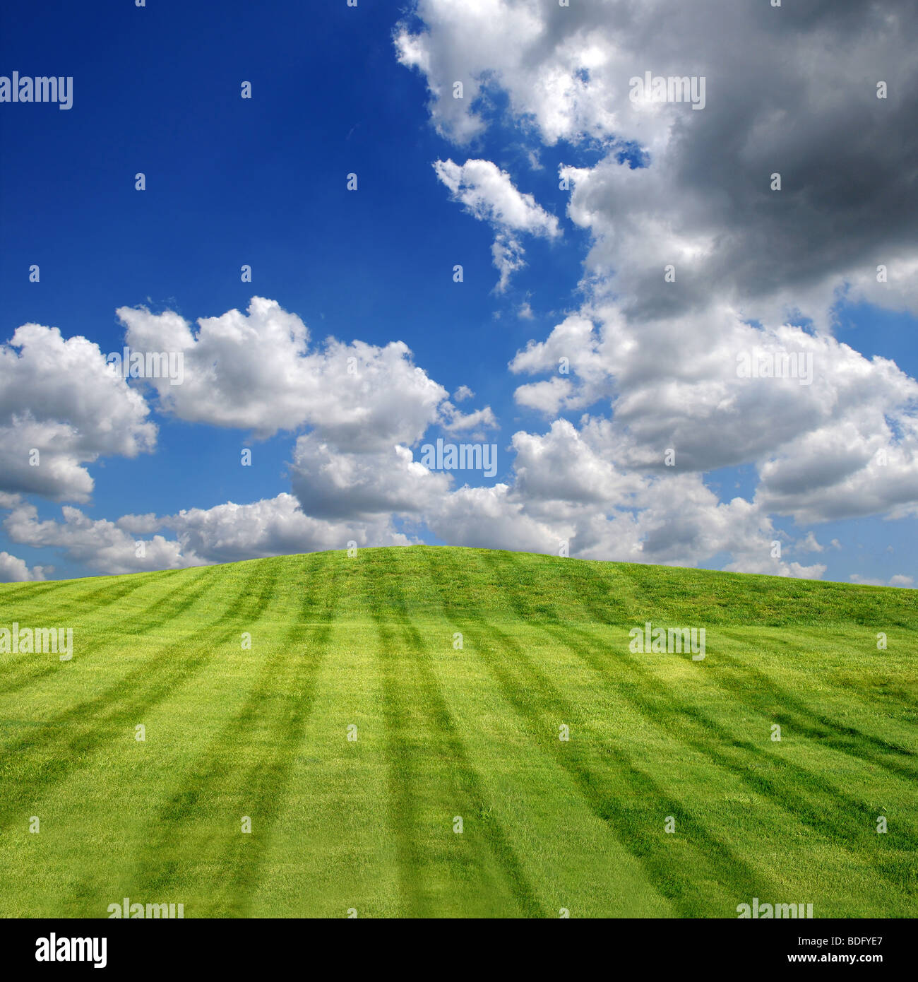 Green field with blue sky and clouds Stock Photo - Alamy