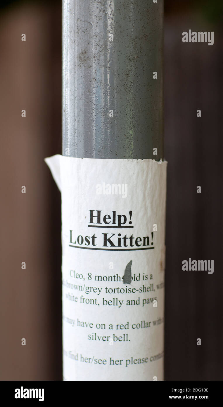 A lost kitten poster on a lamp post in Cheltenham Spa, England, UK