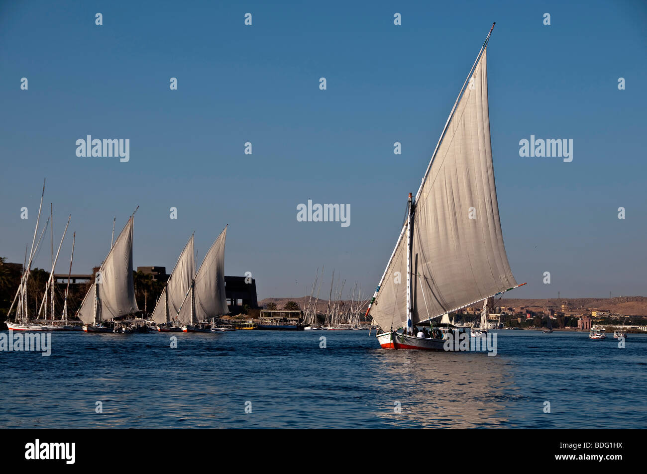 Felucca sailboat sailing boat Nile River Aswan Egypt traditional ...