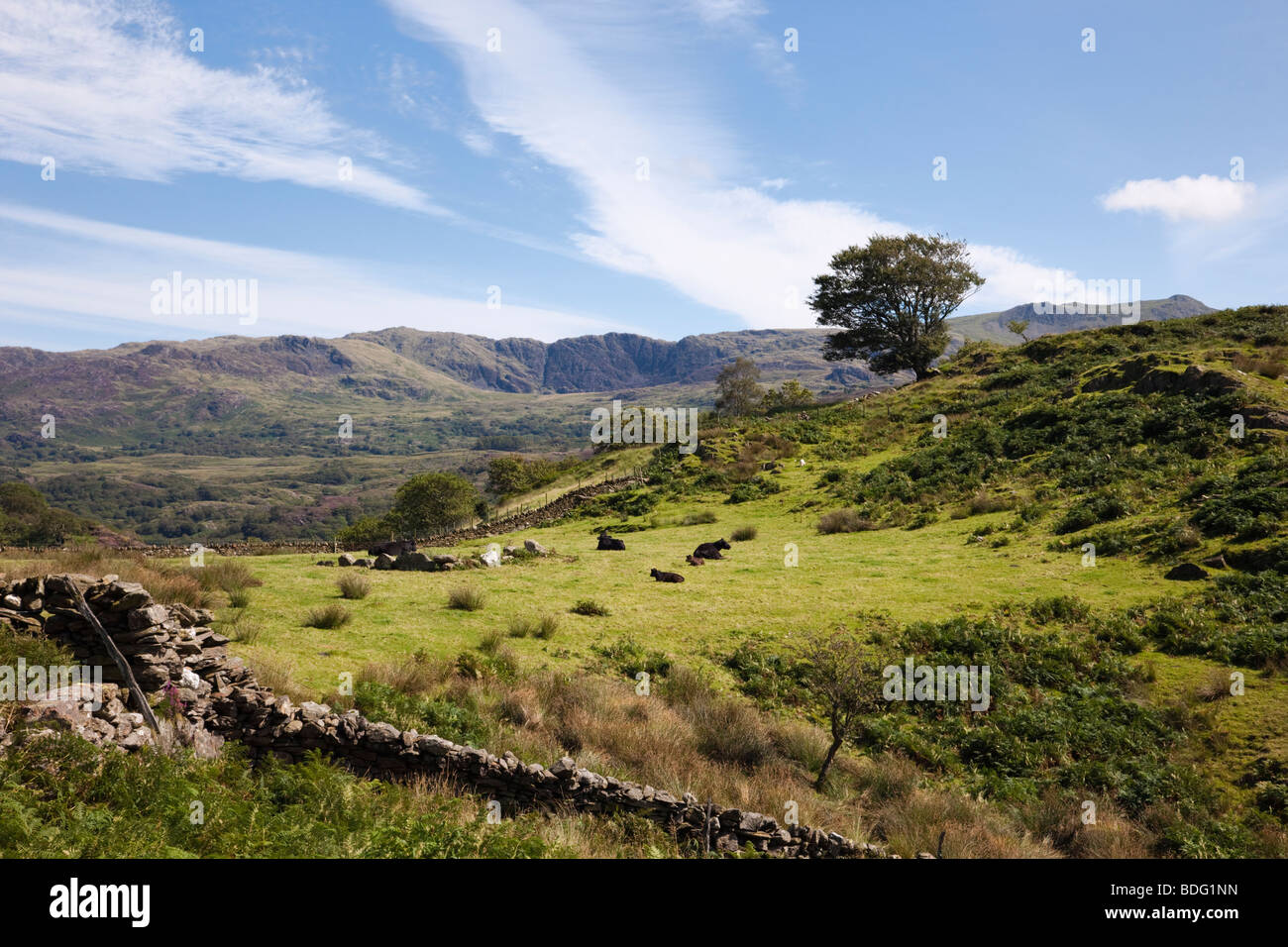 Bethania Gwynedd North Wales UK. Country scene in Snowdonia 'National Park' mountains in summer Stock Photo