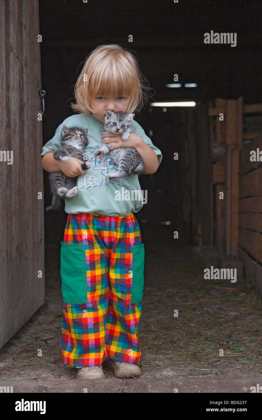 Two hold cats hi-res stock photography and images - Alamy