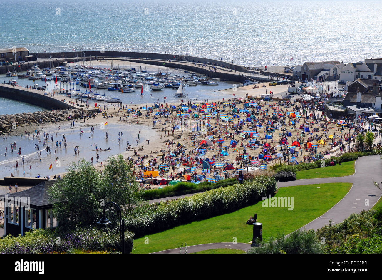 Lyme Regis, Harbour and gardens, Lyme Regis Dorset. Britain UK Stock Photo