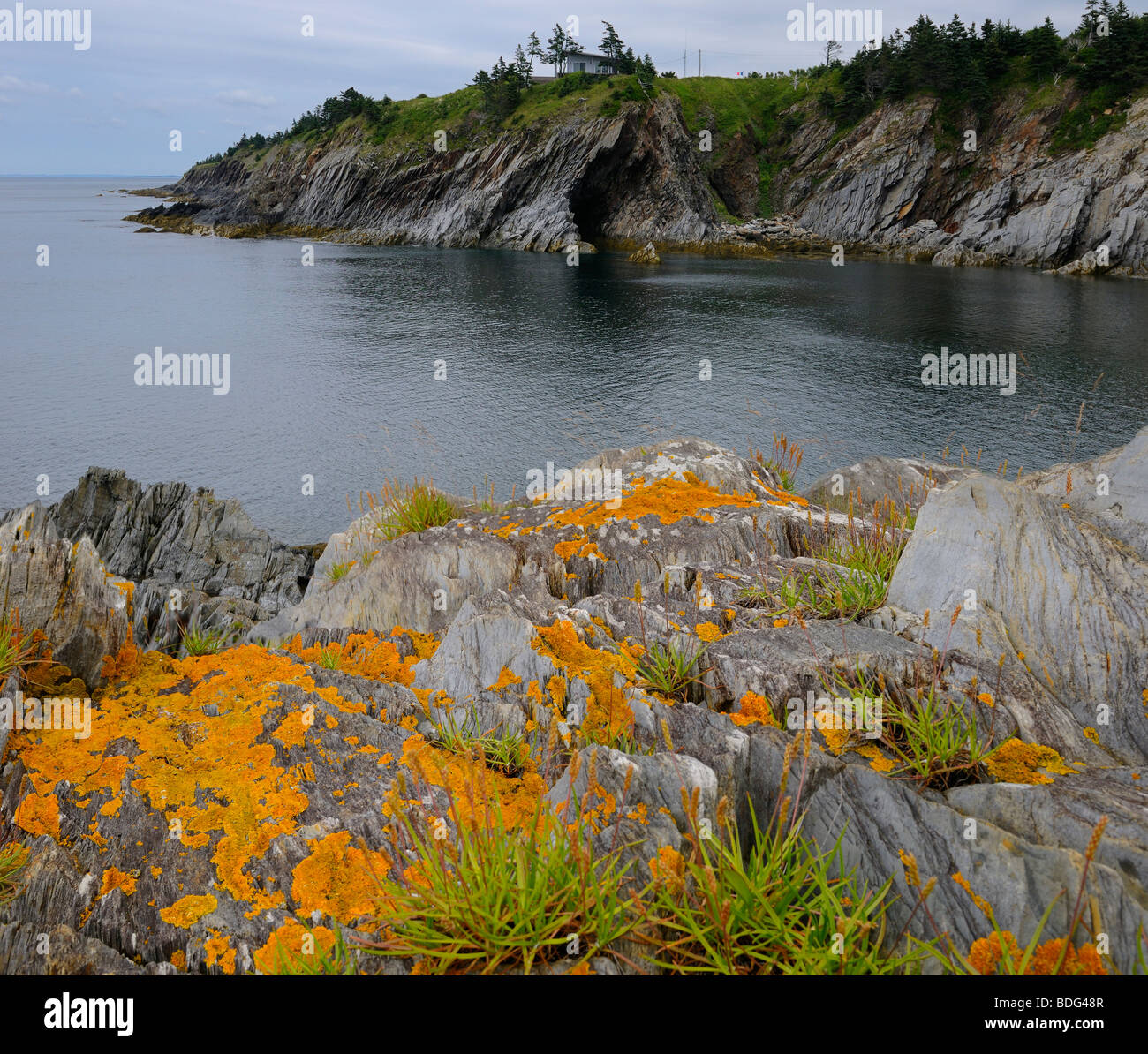 Cave and orange lichen on sea cliffs at Smugglers Cove Provincial Park St Mary's Bay Atlantic coast Nova Scotia Canada Stock Photo