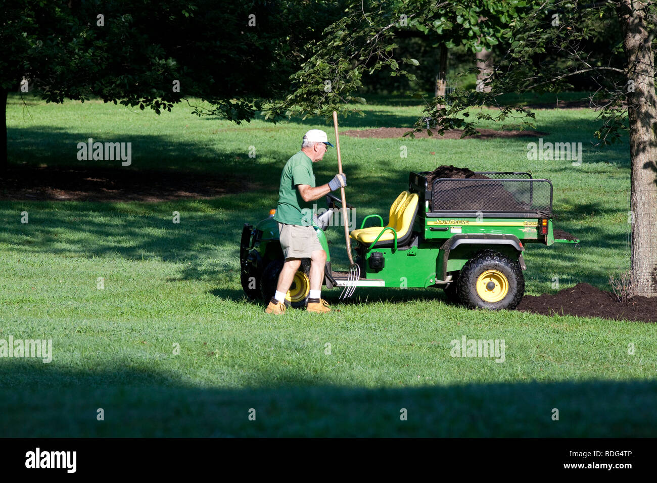 A gardener spreading mulch around a tree with a pitchfork form the back