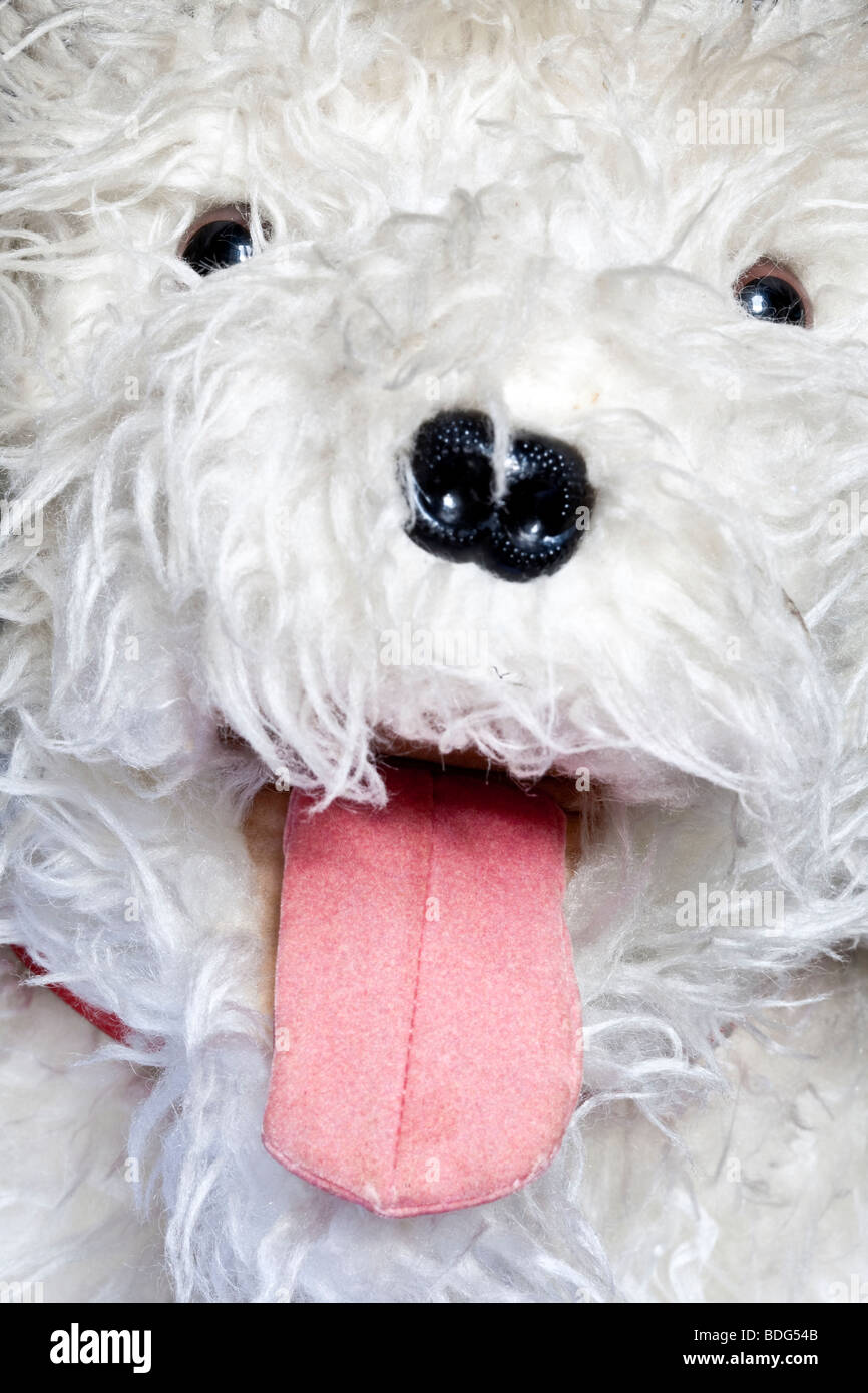 Sheep tongue hires stock photography and images Alamy