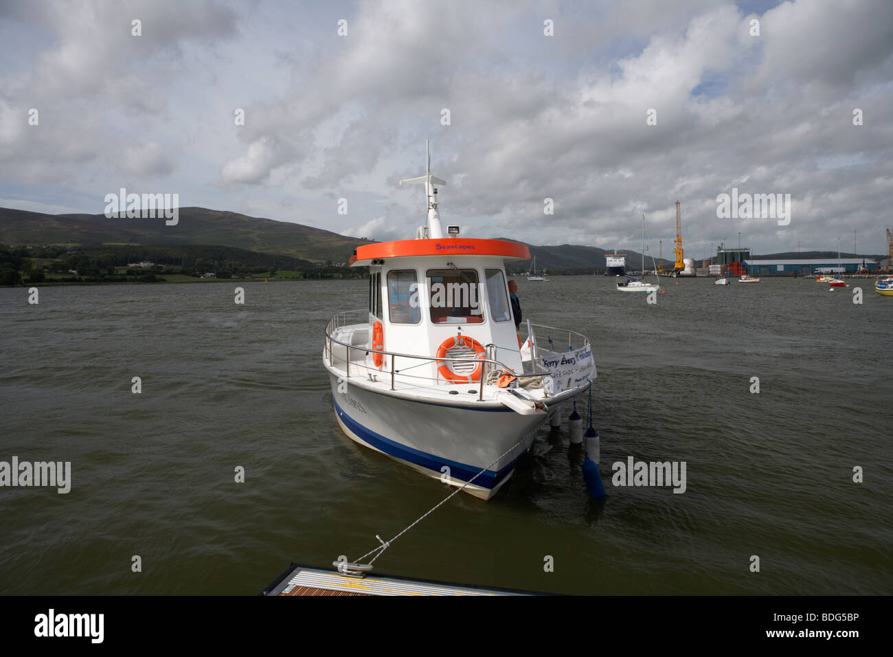 Carlingford lough ireland omeath hires stock photography and images