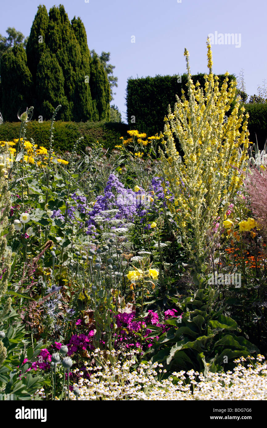 A COLOURFUL SUMMER FLOWER BORDER IN AN ENGLISH COUNTRY GARDEN Stock ...