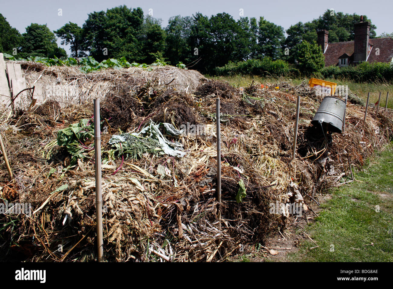 AN OPEN COMPOST HEAP IN AN ALLOTMENT GARDEN. UK Stock Photo Alamy