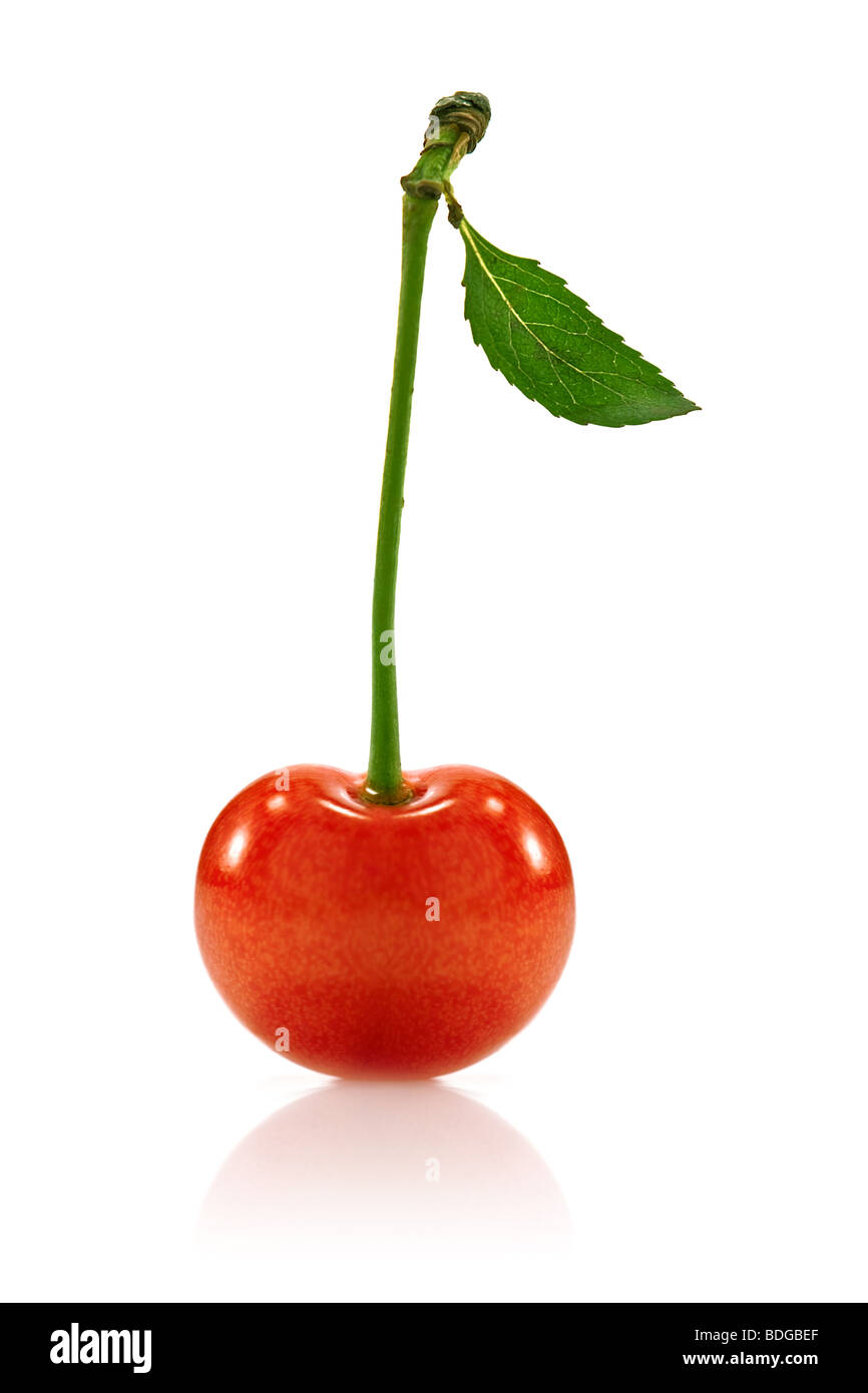 red cherry isolated on white Stock Photo