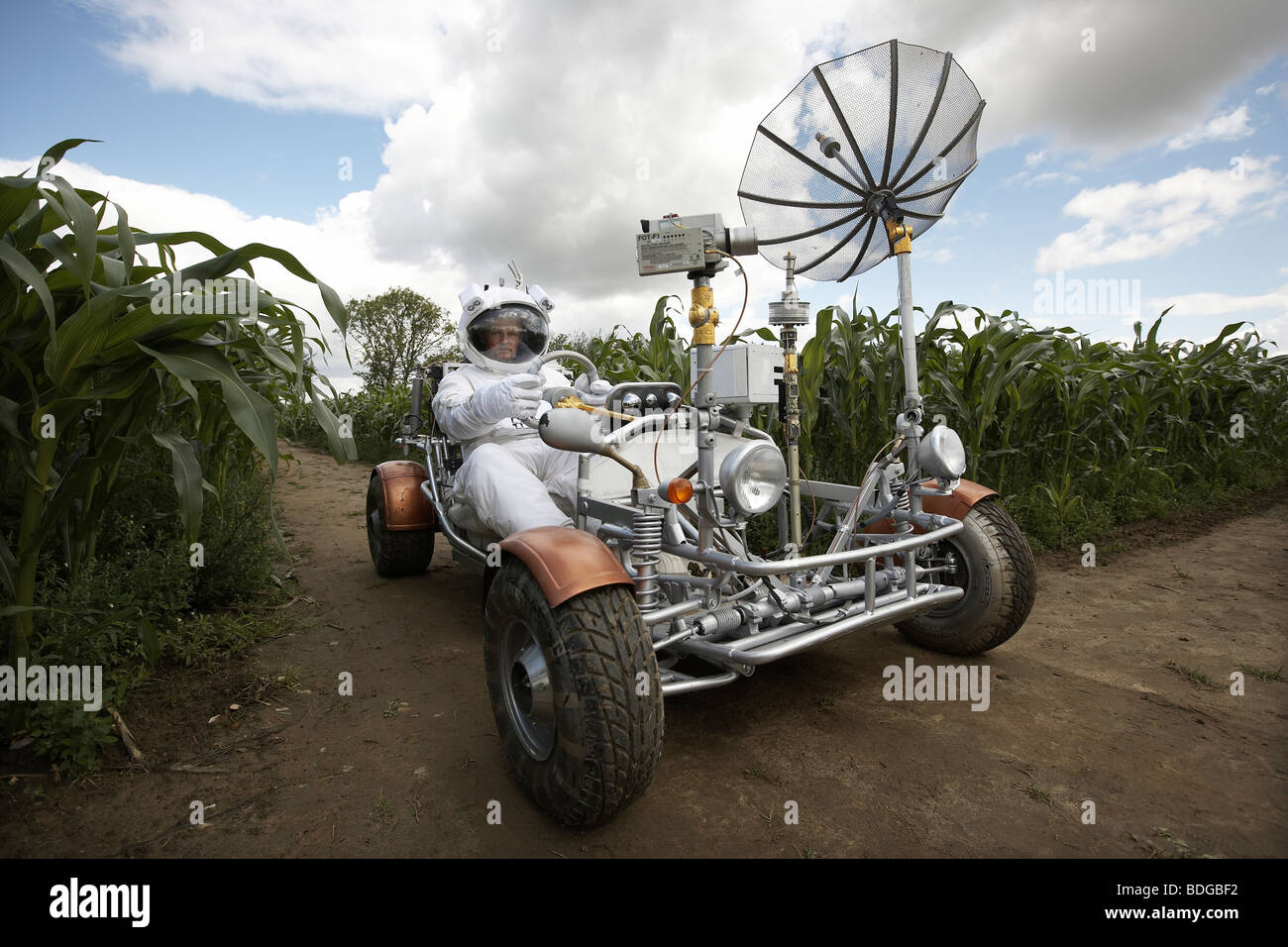 Rover buggy sales