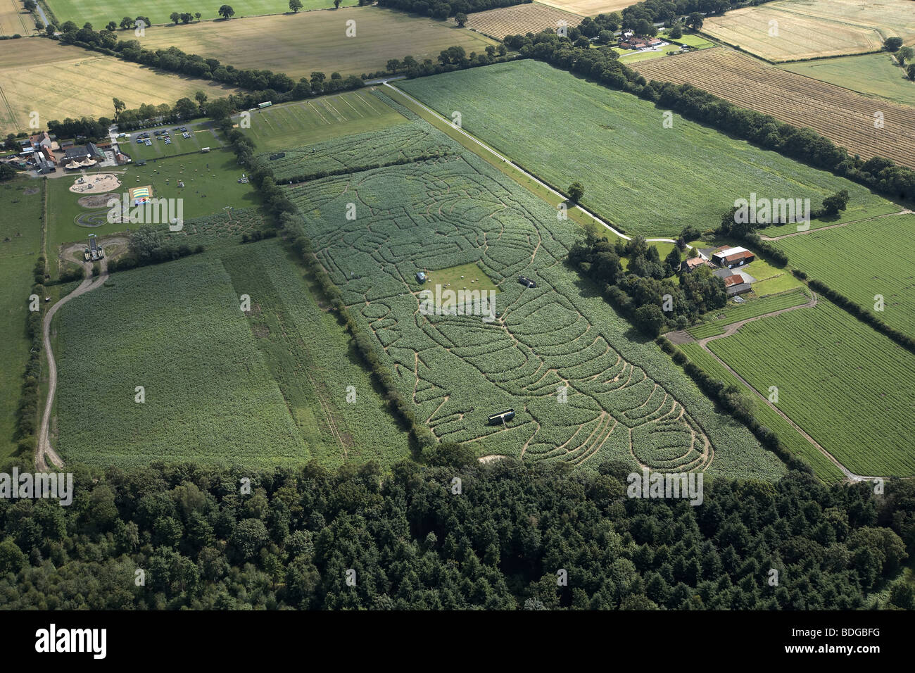 The York Maize Maze. The image of an astronaut cut in a field of maize