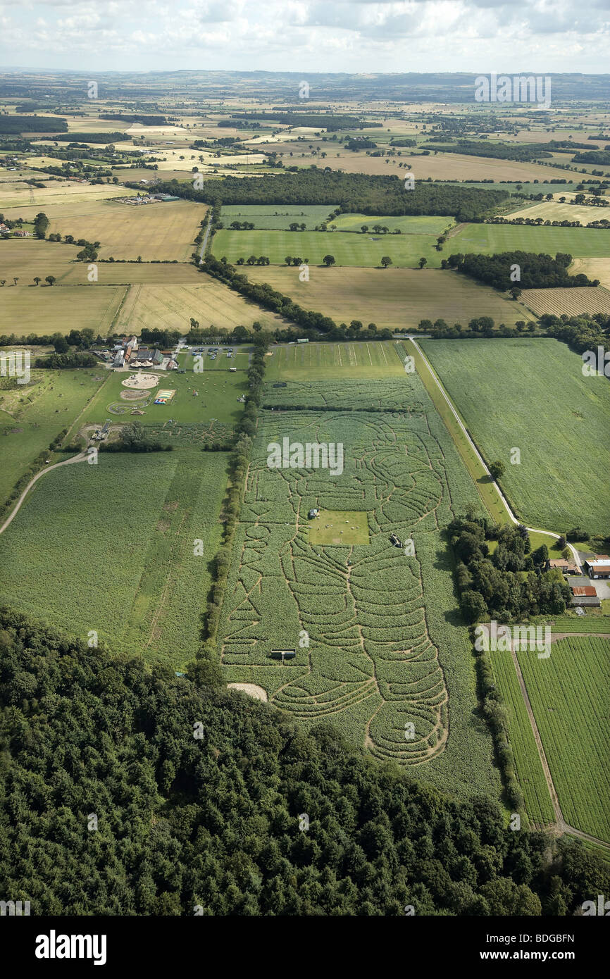 The York Maize Maze. The image of an astronaut cut in a field of maize