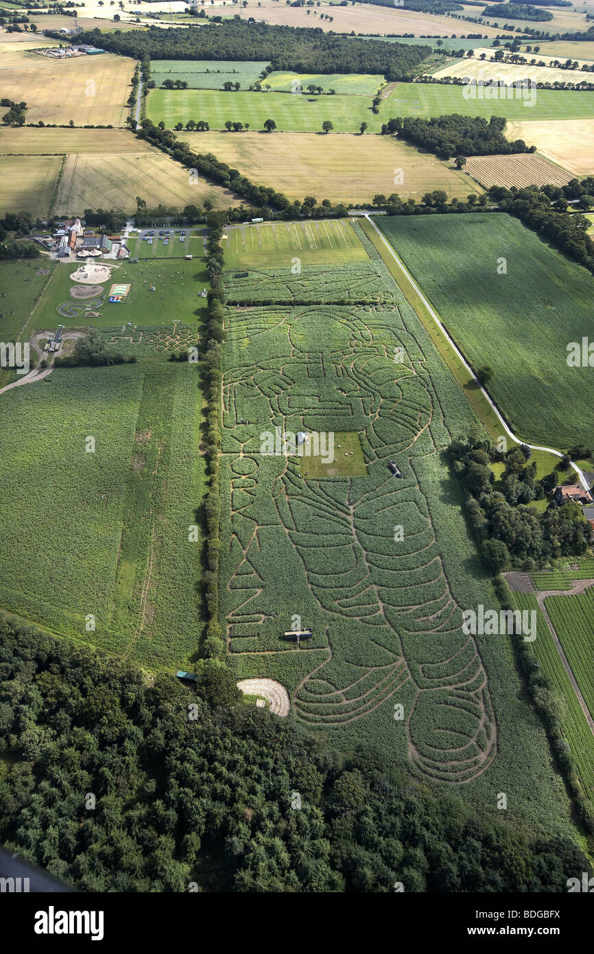The York Maize Maze. The image of an astronaut cut in a field of maize