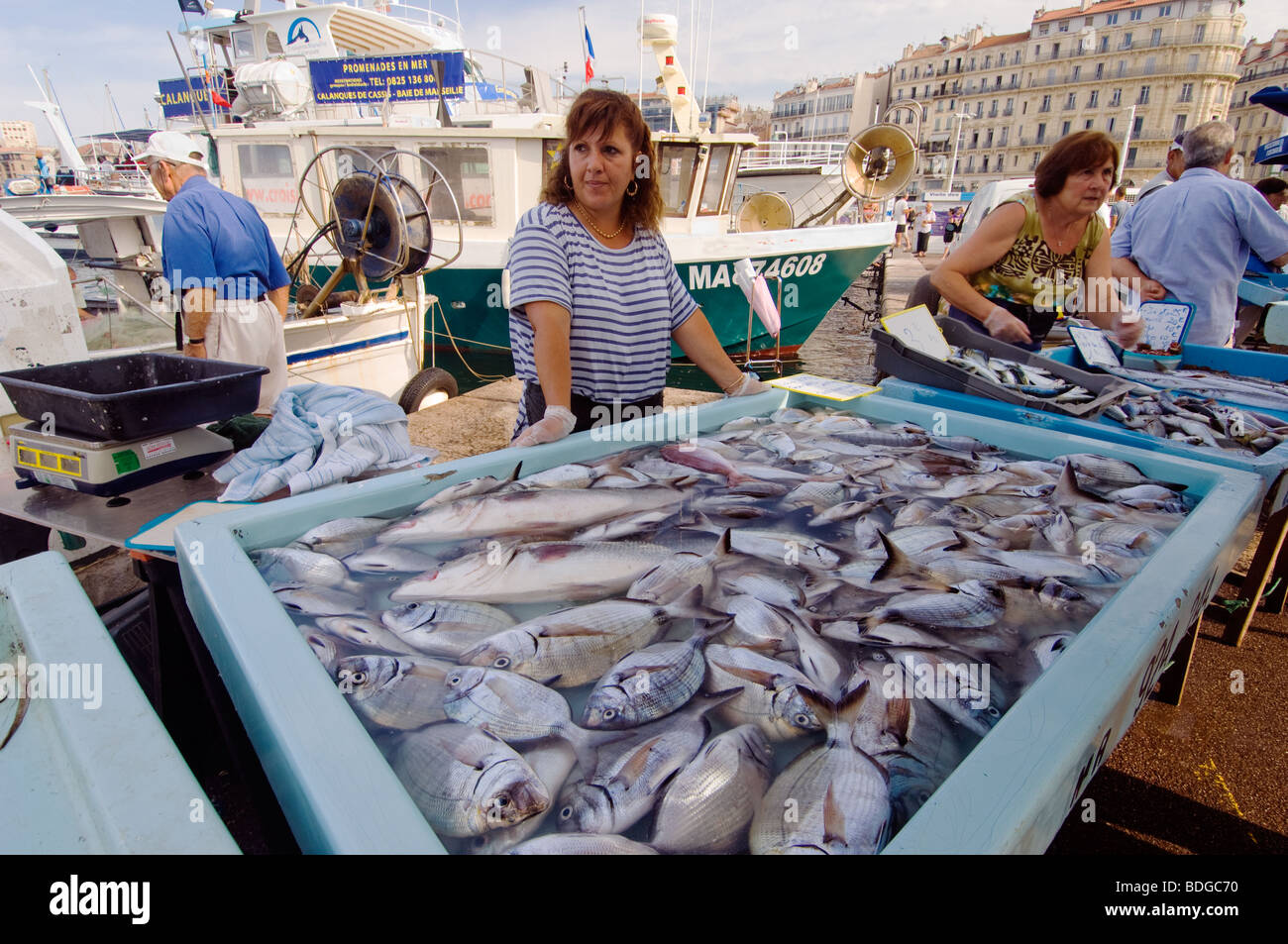 Fresh fish at the market on the quay in the Vieux Port, Marseilles Stock  Photo - Alamy