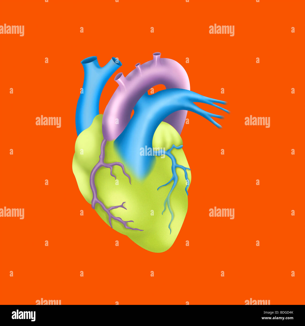 HEART, ILLUSTRATION Stock Photo