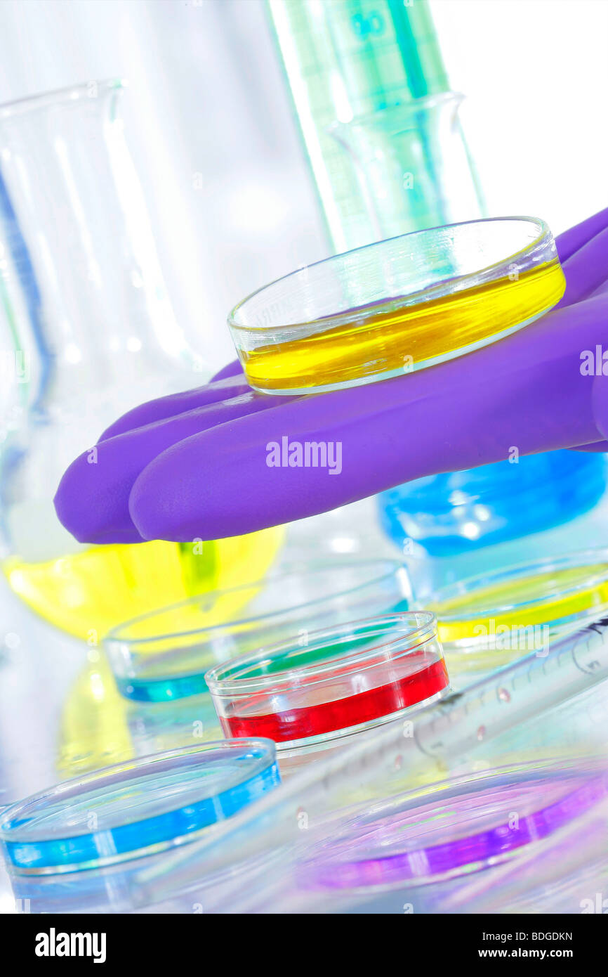 Petri dishes with instruments hires stock photography and images Alamy