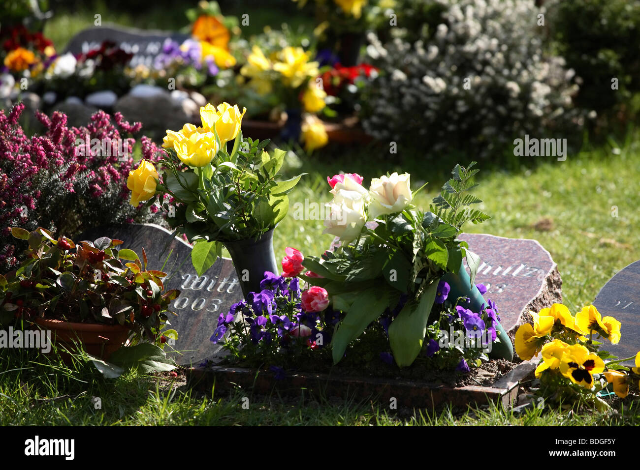 Graves decorated with flowers Stock Photo Alamy