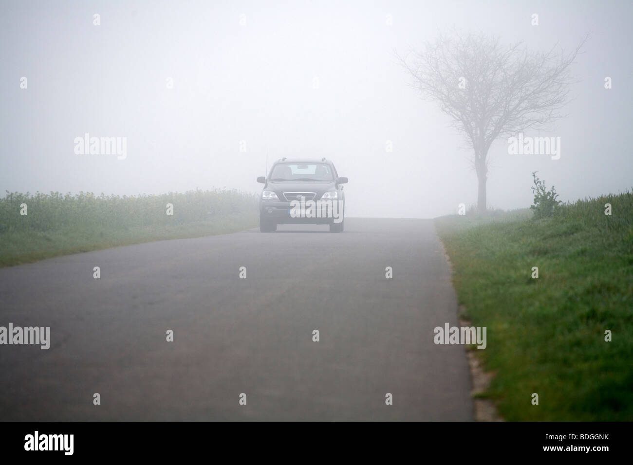 Car driving in the fog Stock Photo Alamy
