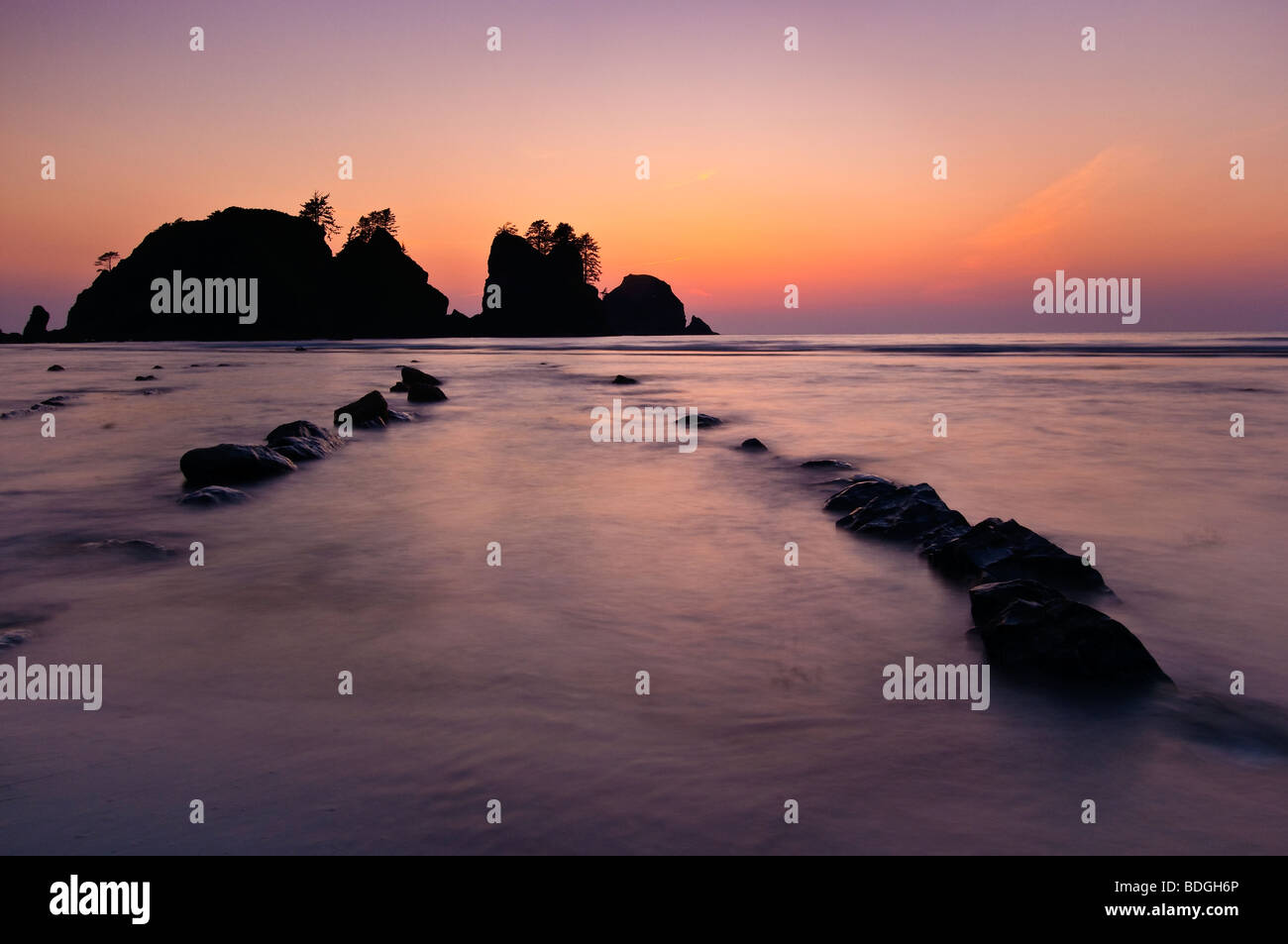 Shi Shi Beach and Point of Arches at dusk, Olympic National Park, Washington. Stock Photo