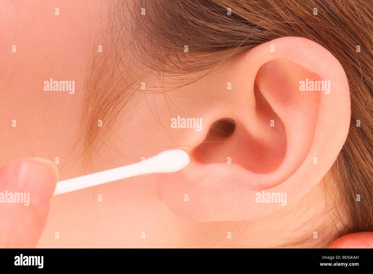 Tip of the ears hires stock photography and images Alamy