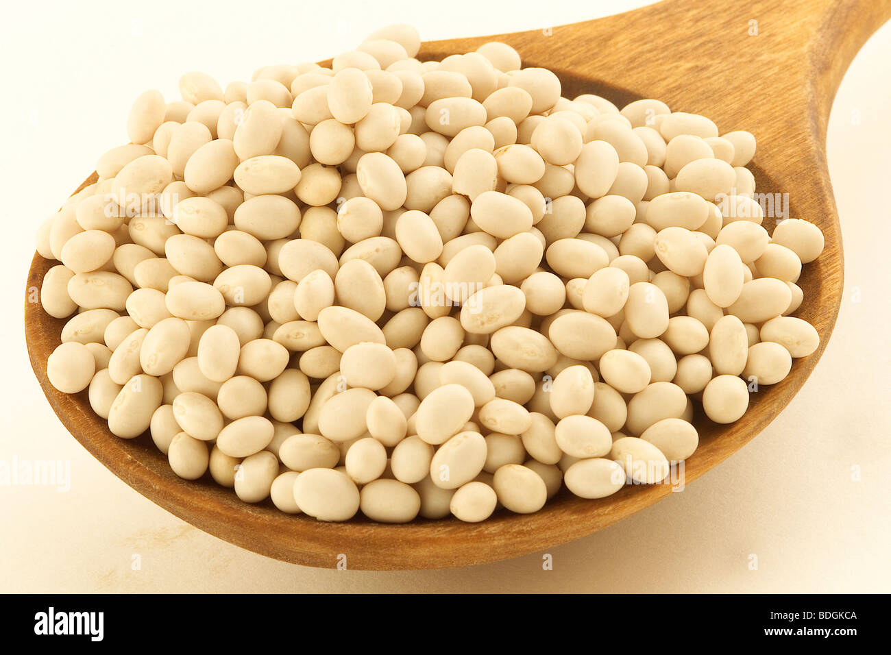 VEGETABLE WHITE HARICOT BEAN Stock Photo Alamy